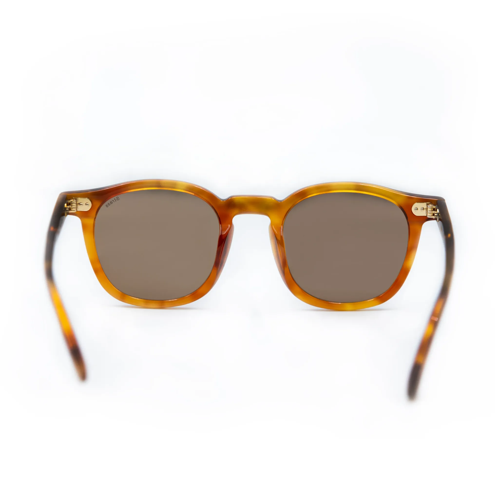 Strass Dulce Demi Brown Sunglasses